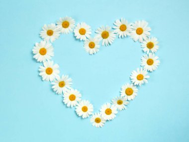 Kalp papatyadan yapılmıştır. Mavi arkaplanda amomiller. 