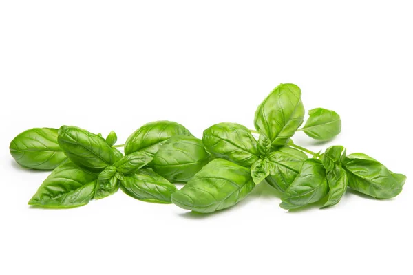 Basil Leaves White Isolated Background Copy Space Fresh Herbs Spices — Stock Photo, Image