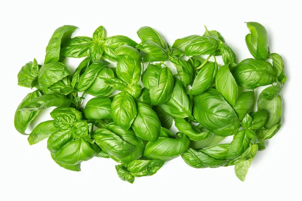 Basil Leaves White Isolated Background Copy Space Flat Lay Fresh — Stock Photo, Image