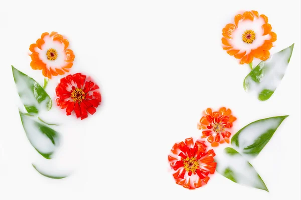 Frame Gemaakt Van Oranje Rode Goudsbloemen Een Melkbad Conceptuele Fotografie — Stockfoto