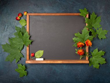 Koyu mavi arka planda akçaağaç yapraklarıyla çerçevelenmiş bir karatahta. Öğretmenler gününü kutlarım. Kadife çiçekleri, tebeşir ve yaban elmaları karatahta değildir. Uzayı kopyala, düz yat.