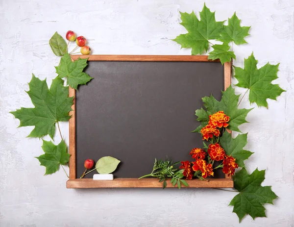 Akçaağaç yapraklarıyla çerçevelenmiş okul panosu açık gri bir arka planda, dokusu var. Öğretmenler gününü kutlarım. Okula dönelim. Kadife çiçekleri, tebeşir ve yaban elmaları karatahta değildir. Uzayı kopyala, düz yat.