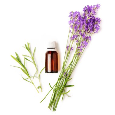 Esaslı yağlı bir şişe ve beyaz izole edilmiş bir arka planda bir demet lavanta. Üst görünüm, düz görünüm, maket.