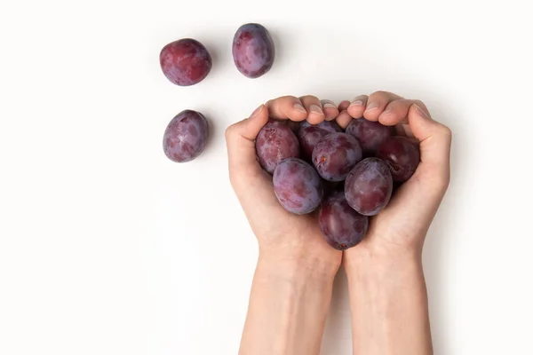 Prugna Blu Nelle Palme Uno Sfondo Grigio Chiaro Frutta Fresca — Foto Stock