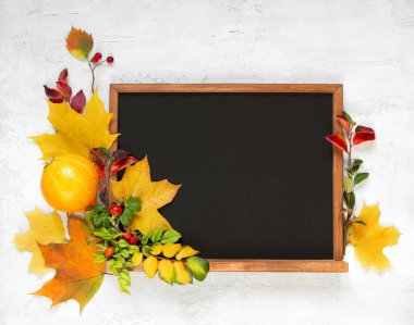 Sonbahar yapraklarıyla çerçevelenmiş açık gri bir zemin üzerinde tebeşir tahtası, yaban gülü böğürtlenleri. Öğretmeni tebrik ederim. Sonbahar hala hayattır. Boşluğu, düzlüğü, üst görüntüyü kopyala. Okula geri dön..