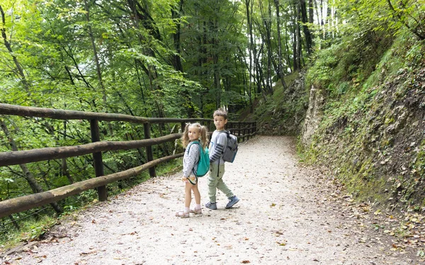 Діти з рюкзаками йдуть по пішохідній стежці з дерев'яним парканом — стокове фото