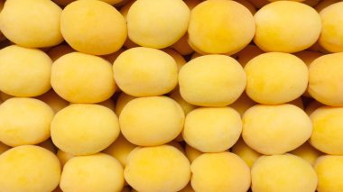 Kayısı arka planda. Kayısılar geometrik sırayla yerleştirilmiş. Fotokopi alanı olan meyve arkaplanı için. Kayısı yetiştiriyorum. Kurutulmuş kayısılar için hammadde.