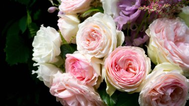 Bir buket pembe gül. Siyah arka planda yakın plan. Mesaj için yeri var. Düğün buketinde taze güller. Düğünü, yıldönümünü, Sevgililer Günü 'nü kutlamak için romantik kart..