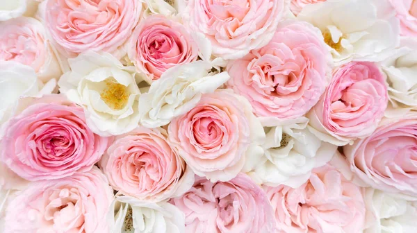 婚礼上浪漫的玫瑰背景 精致的粉红玫瑰使顶部的照片与文字的空间更加接近 婚礼或结婚周年请柬 贺卡的设计模板 — 图库照片