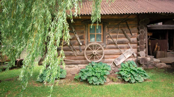 Nádvoří Starého Tradičního Venkovského Domu Pod Roztaženou Plačící Vrbou Zahradní — Stock fotografie