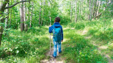 Bir çocuk gezgin bir kamp alanına orman yolu boyunca yürür. Vahşi doğada hayatta kalma teknikleri. Turist ekipmanlı bir çocuk ormanda oryantasyon yapıyor..