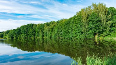 Yaprak döken ormanın yansıdığı sularda, güzel bir orman gölü olan simetrik bir manzara. Ayna manzarası. Orman Dubrova gölünün suyuna yansıyor. Doğa uyumu.