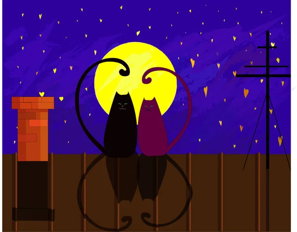Deux Mignons Chats Noirs Violets Dans Nuit Sur Toit Pleine — Photo