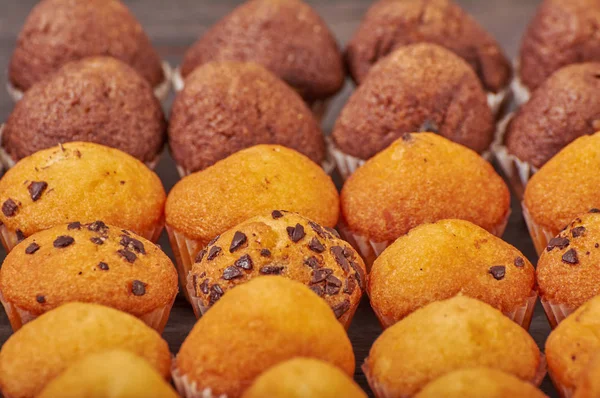 Deliciosos Mini Muffins Sabor Chocolate Para Café Manhã — Fotografia de Stock