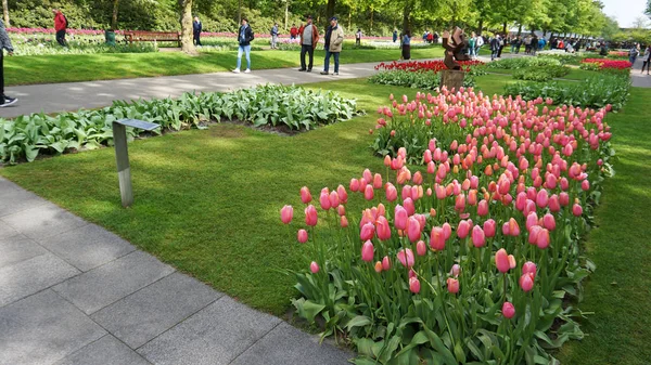 Keukenhof, Nizozemsko, Holandsko; 11/05/2019: úžasná Jarní krajina, slavná Keukenhof Garden s pestrým čerstvým tulipány, Nizozemsko, Evropa — Stock fotografie