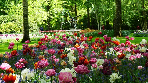 Keukenhof, Nizozemsko, Holandsko; 11/05/2019: úžasná Jarní krajina, slavná Keukenhof Garden s pestrým čerstvým tulipány, Nizozemsko, Evropa — Stock fotografie