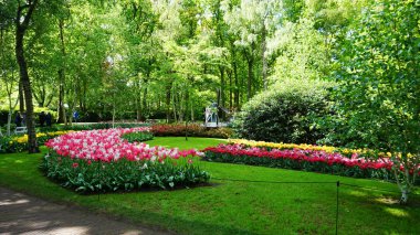 keukenhof,hollanda,hollanda;11/05/2019: Çarpıcı bahar manzarası, renkli taze lalelerle ünlü Keukenhof bahçesi, Hollanda, Avrupa