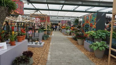 keukenhof,hollanda,hollanda;11/05/2019: Çarpıcı bahar manzarası, renkli taze lalelerle ünlü Keukenhof bahçesi, Hollanda, Avrupa