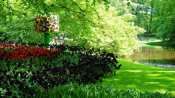 Keukenhof, Paesi Bassi, Olanda; 11 / 05 / 2019: Splendido paesaggio primaverile, famoso giardino Keukenhof con tulipani freschi colorati, Paesi Bassi, Europa — Foto Stock