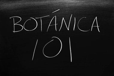 Kelimeleri Botnica 101 tebeşir bir tahta. Çeviri: Botanik 101