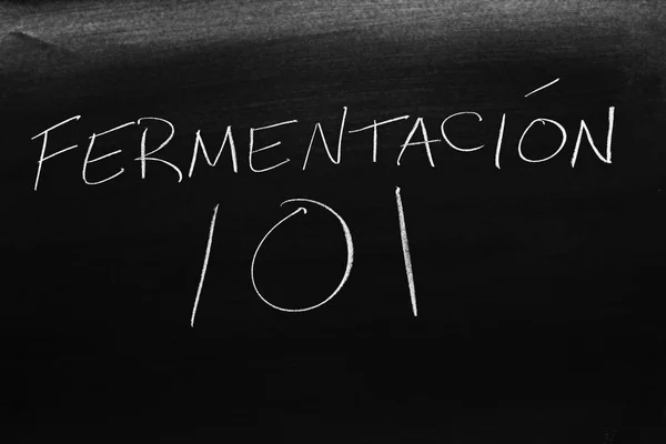 Las Palabras Fermentacin 101 Una Pizarra Tiza Traducción Fermentación 101 —  Fotos de Stock