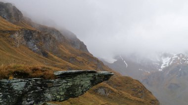 Kayalık ve soğuk, arka planda buzul manzarası