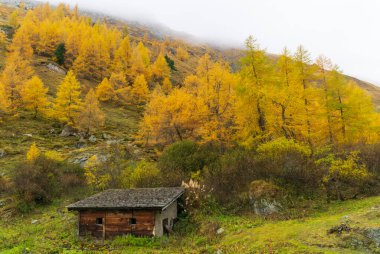 Sonbaharda Hunter 'ın dağdaki karakolu.