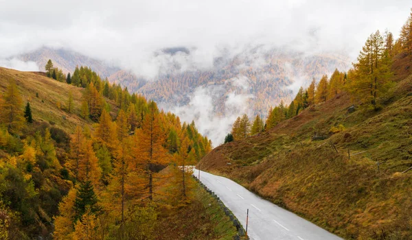 Uma Estrada Através Das Montanhas Após Chuva Outono — Fotografia de Stock