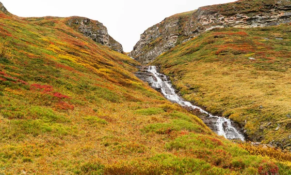 Petit Grincement Courant Sur Flanc Une Colline — Photo