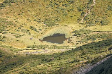 Yeşil çimenler arasında güzel dağ gölü
