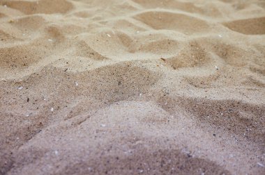 Yaz güneşinde güzel kumsal