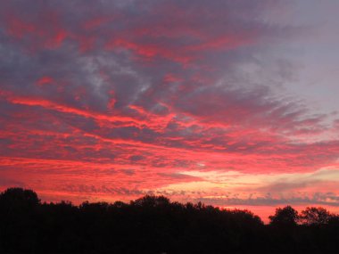 Bulutların arkasında, ormanın üzerinde gün batımı