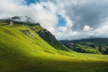 Dağlarda güzel bir yaz manzarası. Dağlarda rahatlama ve eğlence kavramı.