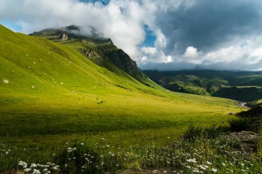 Dağlarda güzel bir yaz manzarası. Dağlarda rahatlama ve eğlence kavramı.