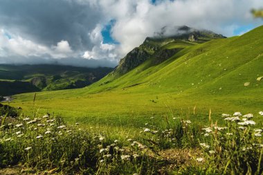Dağlarda güzel bir yaz manzarası. Dağlarda rahatlama ve eğlence kavramı.