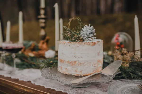 Cake design for winter wedding in natural design