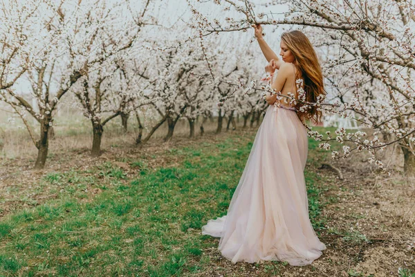 Młoda Piękna Kobieta Pozuje Obok Kwitnących Drzew — Zdjęcie stockowe
