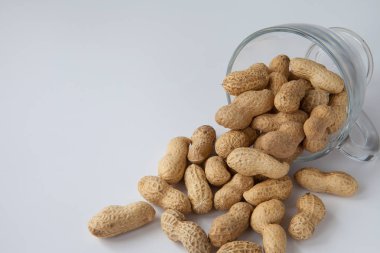 fıstık kabuğu bir kadehi döktü