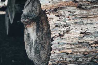 Doğal ahşap arka plan. Kesilmiş odunlara yakın plan. Odunlar istiflendi ve kış için odun yığınları hazırlandı.