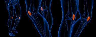 diz kapağı 3D render çizimi