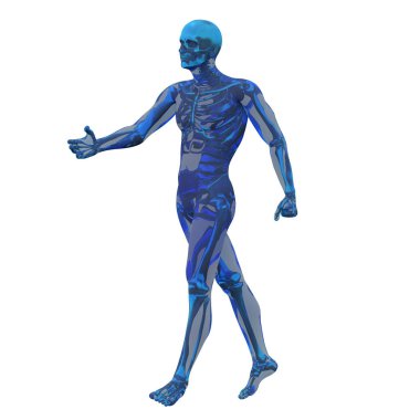 İnsan anatomisi 3d render illüstrasyon