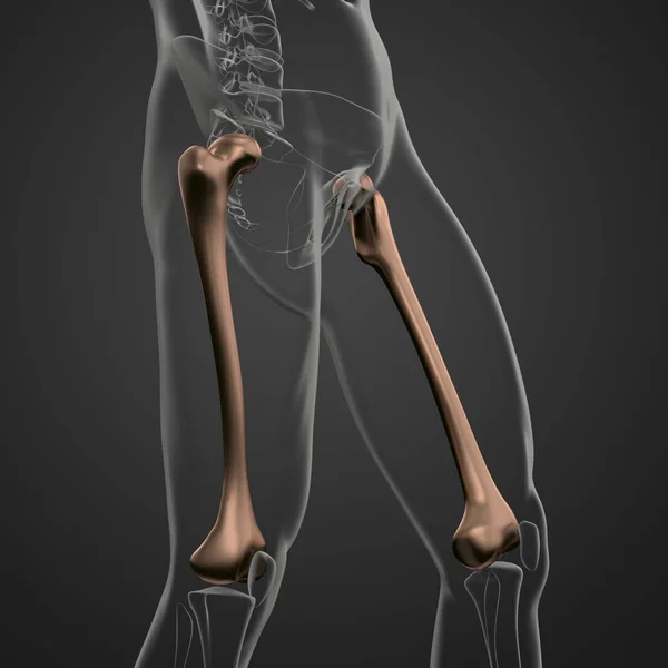 Vykreslování Lékařské Ilustrace Stehenní Kosti — Stock fotografie