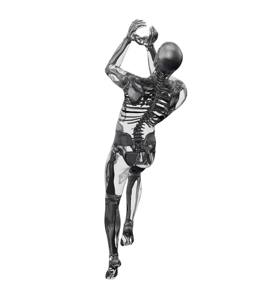 人体解剖学的3d渲染插图 — 图库照片