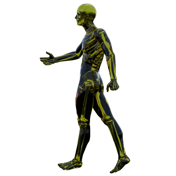 3D-Darstellung der menschlichen Anatomie — Stockfoto