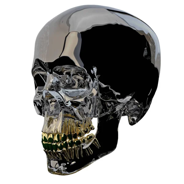 Kafatası anatomisinin 3D çizimi — Stok fotoğraf
