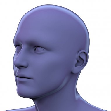 İnsan anatomisi 3d render illüstrasyon