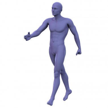 İnsan anatomisi 3d render illüstrasyon