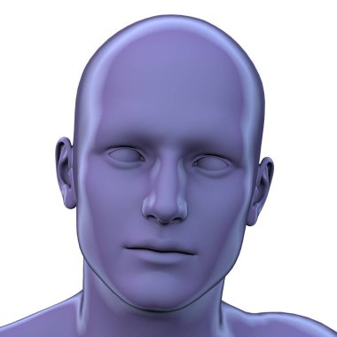 İnsan anatomisi 3d render illüstrasyon