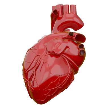 3D render illüstrasyon kalp