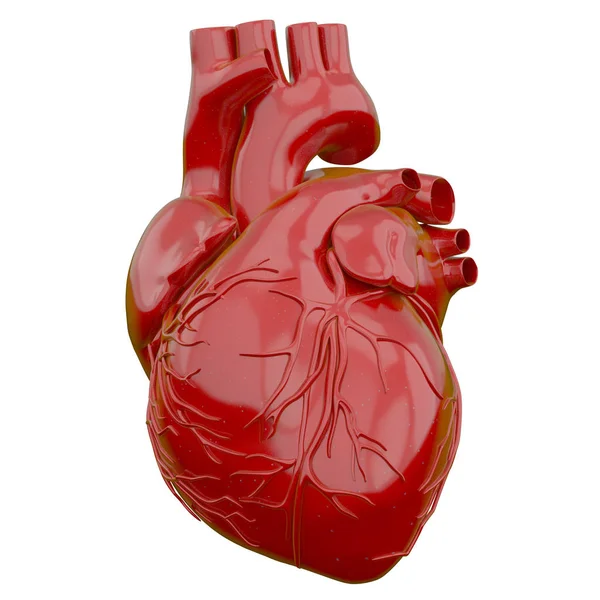 3d rendering illustration of heart — Stock Photo, Image